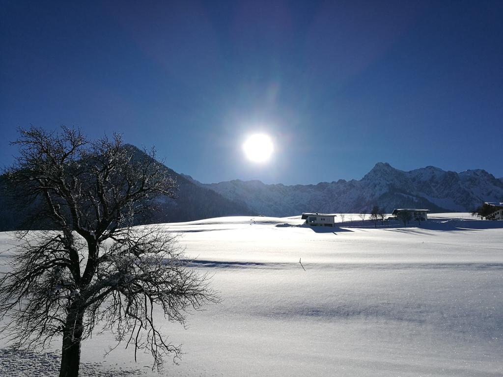 Chalet Glockenhof Walchsee Εξωτερικό φωτογραφία