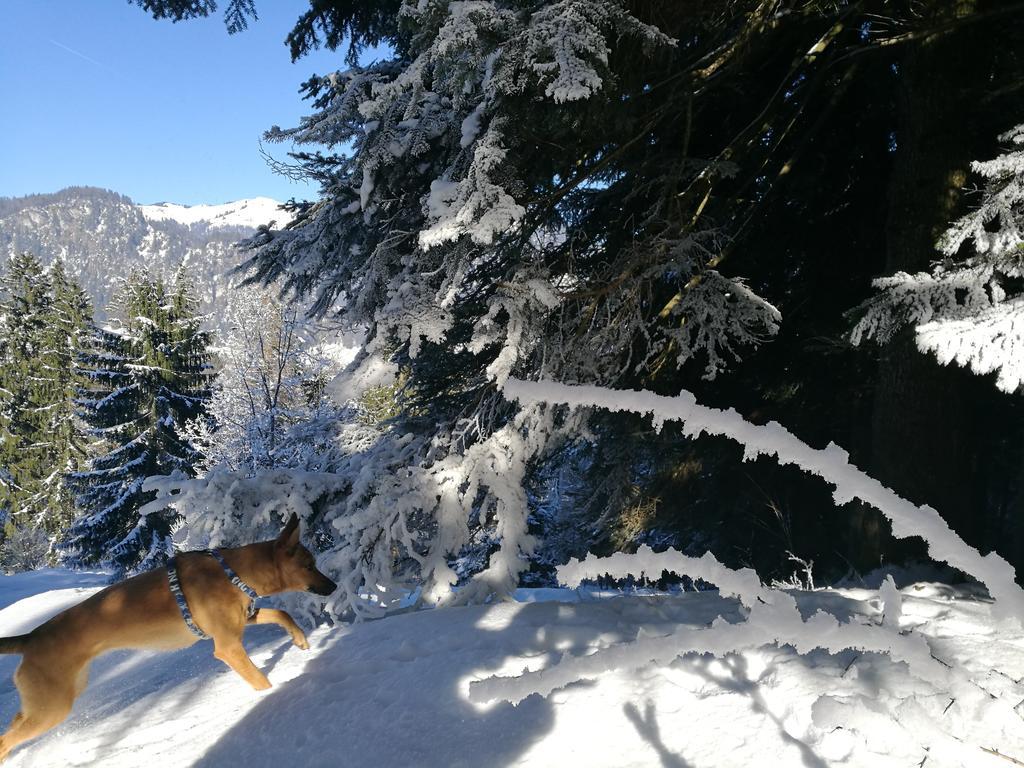 Chalet Glockenhof Walchsee Εξωτερικό φωτογραφία