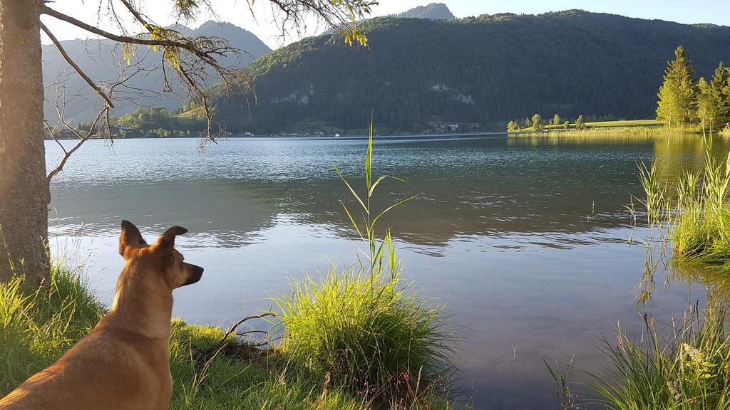 Chalet Glockenhof Walchsee Εξωτερικό φωτογραφία